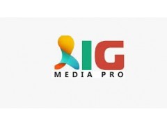 Logo AIG Media Pro