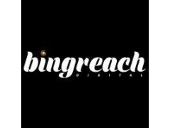 Logo Bingreach Digital
