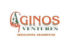 Ginos Ventures Limited