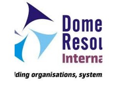 Logo Domeo Resources International