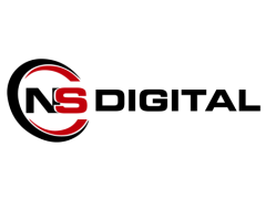 Logo Nirvana Synergy
