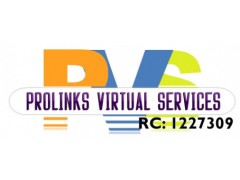 Logo Prolinks Virtua Services Ltd