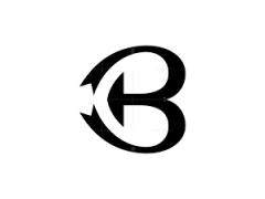 Logo Ballonabudgetng