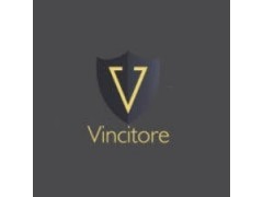 Logo Vincintoire Limited