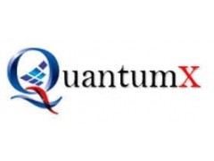 Logo QuantumX Energy Limited