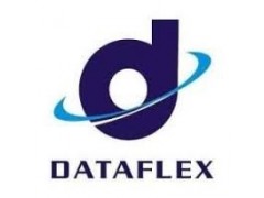 Logo Dataflex Nigeria Limited