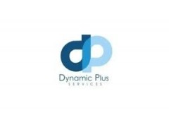 Visa Officer - DynamicPlus