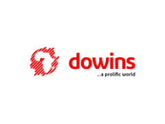 Logo Dowins Globalink Limited