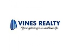 IT Specialist at Vines Realty Afrique Limited