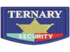 Logo Ternary Security Limited
