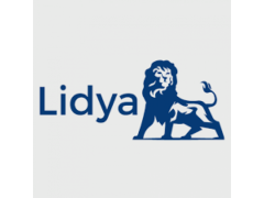 Collections Analyst at Lidya Global