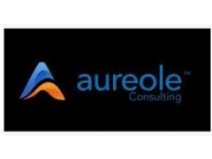 Marketing (aureole consulting limited)