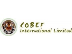 Cobef International Limited