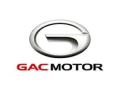 Sales Manager at CIG Motors Company Limited (GAC Motors)