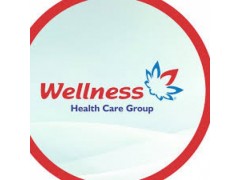 Medical Doctor at Wellness Healthcare Limited