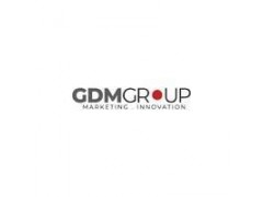 Financial lead (GDM Group)