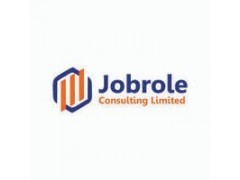 Sales Executive (Jobrole Consulting Limited )