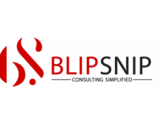 Logo Blip Consult International