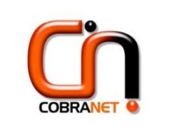 Support Engineer (..Cobranet Limited )