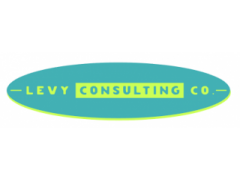 Levy O Consulting Agency